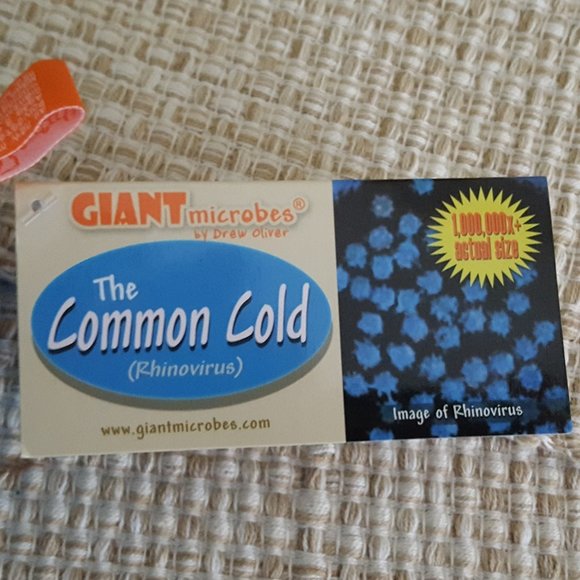 Giant Microbes Common Cold Rhinovirus 3.5"x4" Plush, DNA Laptop Sticker,… - Picture 6 of 16